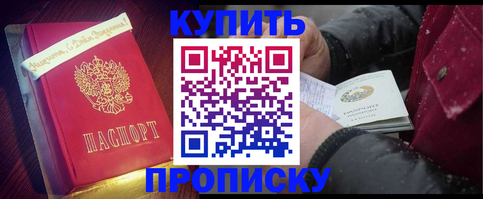 прописка гарантия в Звенигороде